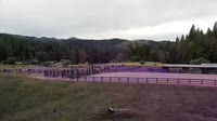 Quincy - Greenhorn Dude Ranch