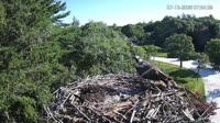 Falmouth - Waquoit Bay Reserve - Rybołów