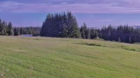 Fritz Creek - Kenai Peninsula