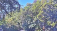 Big Sur - Big Sur River Inn