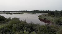 Miniatiūra