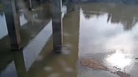 Cayce - Congaree River