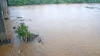 West Columbia - Congaree River