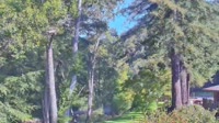 Big Sur - Big Sur River Inn