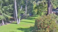 Big Sur - Big Sur River Inn