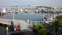 Tampa - Westshore Yacht Club Marina