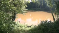 Bent Creek - French Broad River