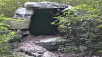 Lewisboro - Wolf Conservation Center