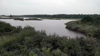 Miniaturansicht