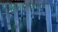 Olanta - Lynches River