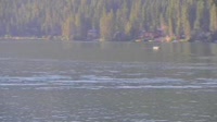 Donner Lake Village