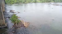 West Columbia - Congaree River