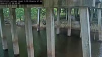 Olanta - Lynches River