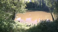 Bent Creek - French Broad River