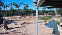 Tucson - Reid Park Zoo