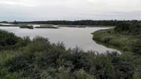 Surry - Hog Island - Wildlife Management Area