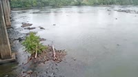 West Columbia - Congaree River