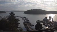 Friday Harbor - Raccolta di webcam