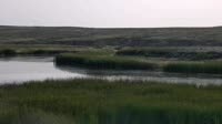 Malta - American Prairie