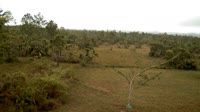 La Democracia - Monkey Bay Wildlife Sanctuary