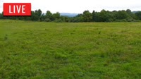 LaFollette - Hatfield Knob Elk