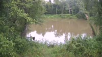Bent Creek - French Broad River