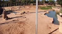 Tucson - Reid Park Zoo