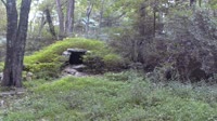 Lewisboro - Wolf Conservation Center