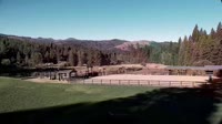 Quincy - Greenhorn Dude Ranch