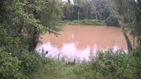 Bent Creek - French Broad River