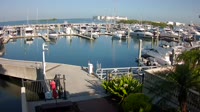 Tampa - Westshore Yacht Club Marina