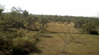 La Democracia - Monkey Bay Wildlife Sanctuary