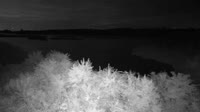 Surry - Hog Island - Wildlife Management Area