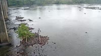 West Columbia - Congaree River