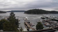 Friday Harbor - Raccolta di webcam