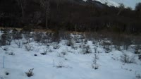 Navarino - Puerto Williams - Park Etnobotaniczny Omora