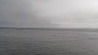 Monterey - Cannery Row