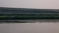 Malta - American Prairie