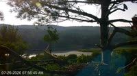 Quechee - VINS Nature Center - Nido di aquila calva