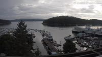 Friday Harbor - Zbiór kamer