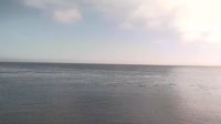 Monterey - Cannery Row