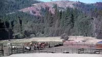 Quincy - Greenhorn Dude Ranch