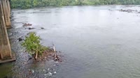 West Columbia - Congaree River