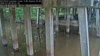 Olanta - Lynches River