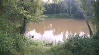 Bent Creek - French Broad River
