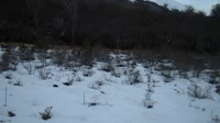 Navarino - Puerto Williams - Omora Ethnobotanical Park