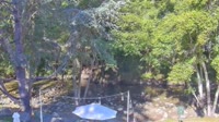 Big Sur - Big Sur River Inn