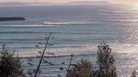 Moruya - Shelly Beach