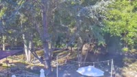 Big Sur - Big Sur River Inn