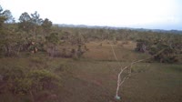 La Democracia - Monkey Bay Wildlife Sanctuary